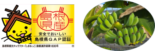 美味しまねゴールド